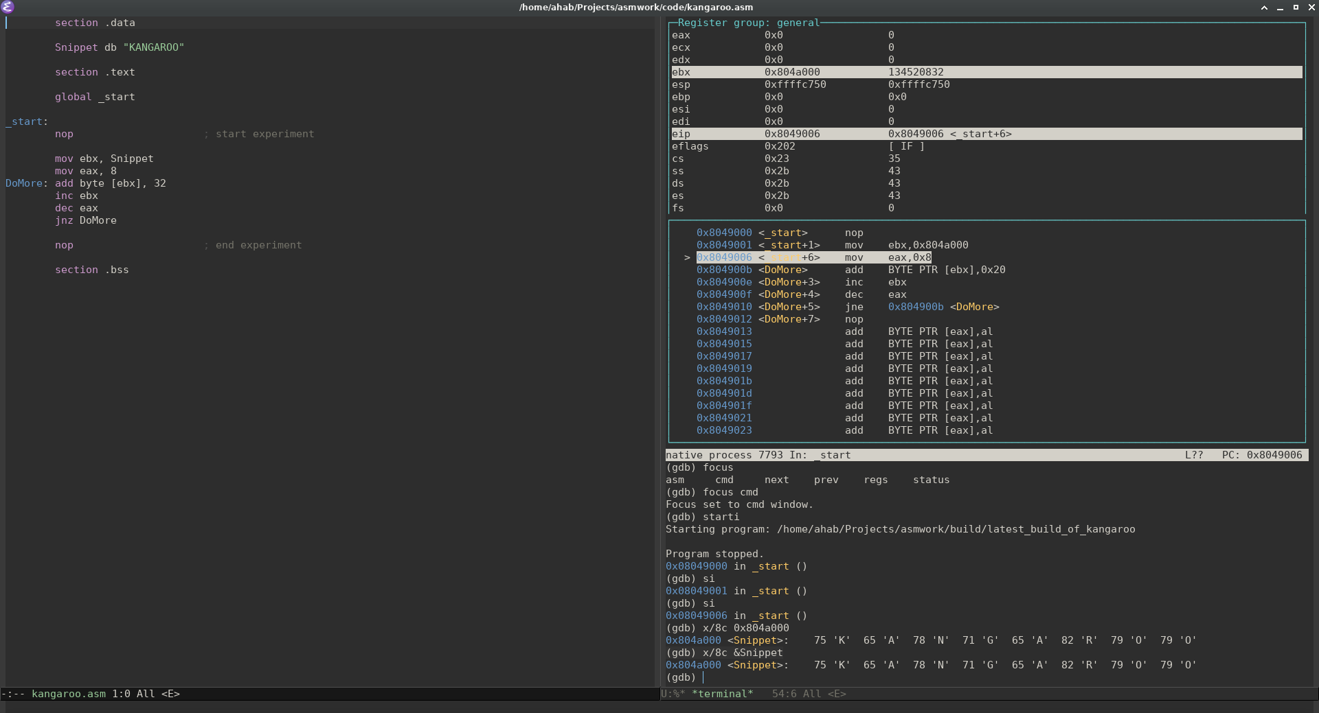 gdb_asm.png